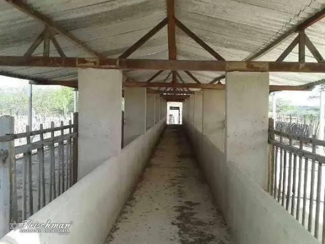 Fazenda venda em Sertania, Região Nordeste