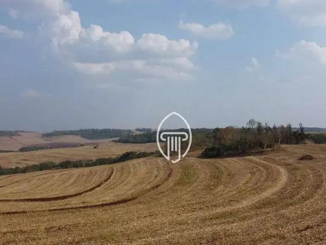 Fazenda venda em Região Geográfica Imediata de Londrina, Sertanópolis