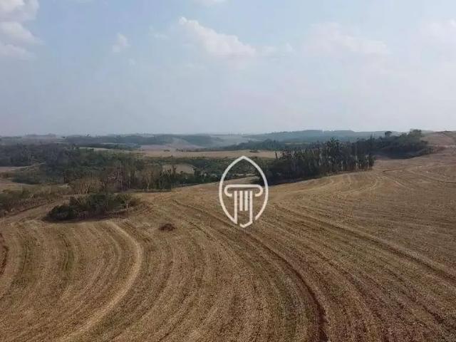Fazenda venda em Região Geográfica Imediata de Londrina, Sertanópolis