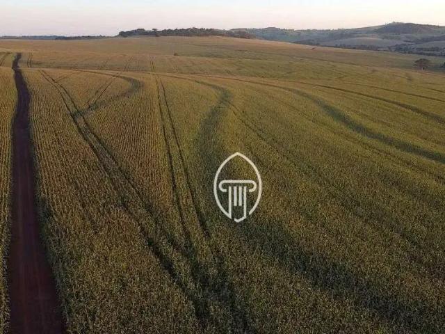 Fazenda venda em Região Geográfica Imediata de Londrina, Sertanópolis