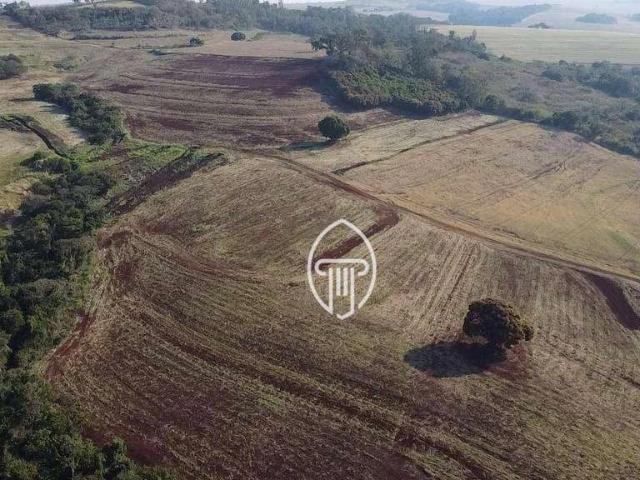 Fazenda venda em Região Geográfica Imediata de Londrina, Sertanópolis