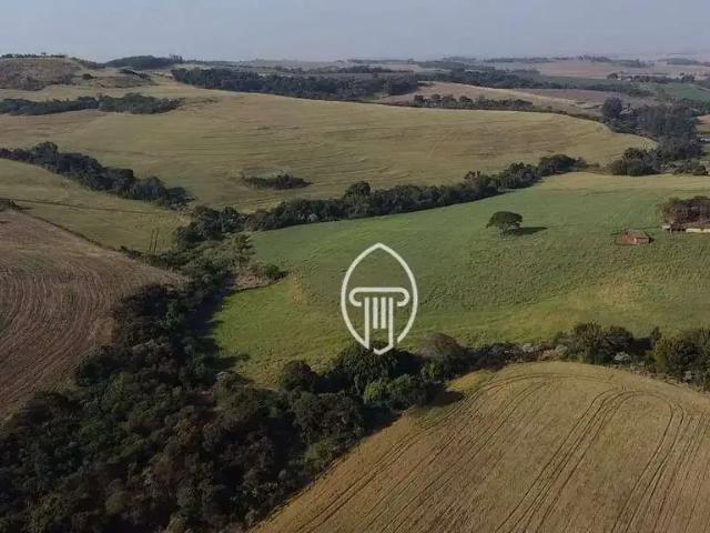 Fazenda venda em Região Geográfica Imediata de Londrina, Sertanópolis