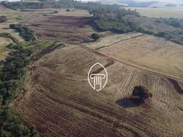 Fazenda venda em Região Geográfica Imediata de Londrina, Sertanópolis