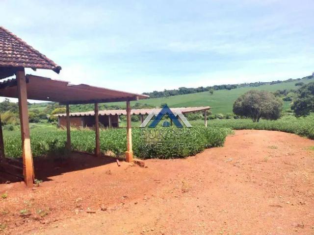 Fazenda venda em Região Geográfica Imediata de Londrina, Sertanópolis