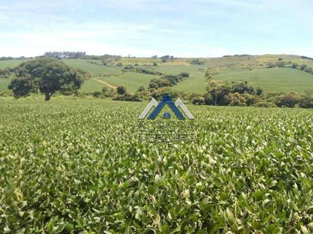 Fazenda venda em Região Geográfica Imediata de Londrina, Sertanópolis