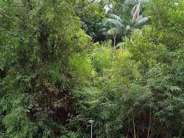 Fazenda venda em Região Imediata de Registro, Sete Barras