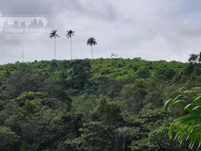 Fazenda venda em Região Imediata de Registro, Sete Barras