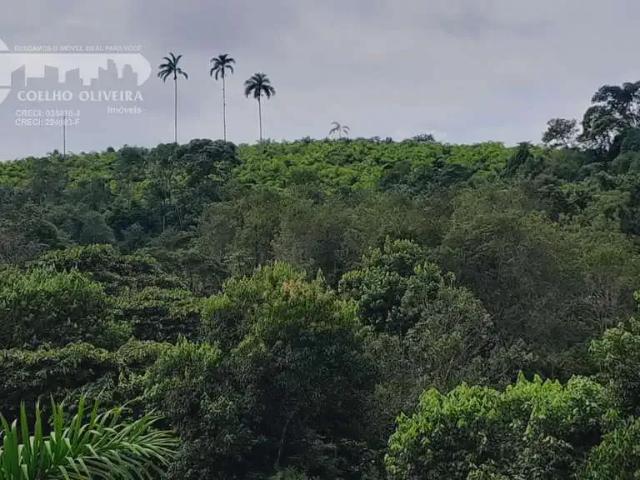 Fazenda venda em Região Imediata de Registro, Sete Barras