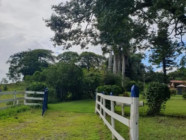 Fazenda venda em Região Geográfica Imediata de Sete Lagoas, Sete Lagoas