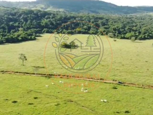 Sítio e chácara venda em Região Geográfica Imediata de Itumbiara, Itumbiara