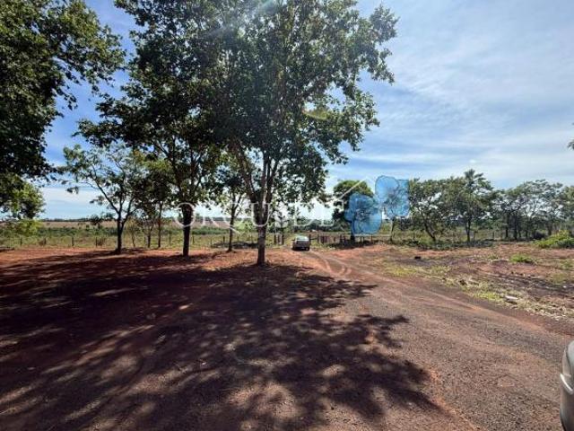 Sítio e chácara venda em Aparecida do Rio Doce, Região Geográfica Intermediária de Rio Verde