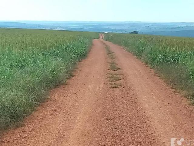Sítio e chácara venda em Região Geográfica Imediata de Posse-Campos Belos, Posse