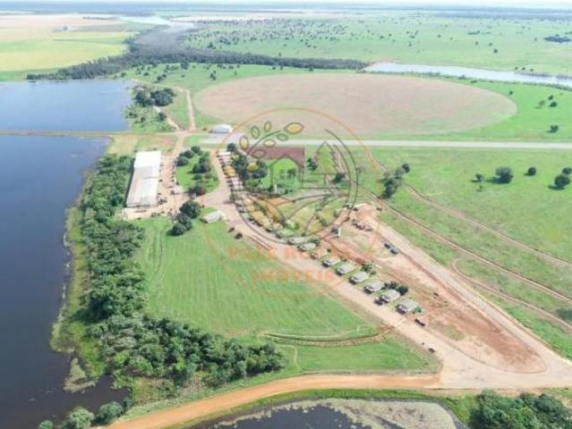 Sítio e chácara venda em Região Geográfica Imediata de Goiás - Itapuranga, Jussara