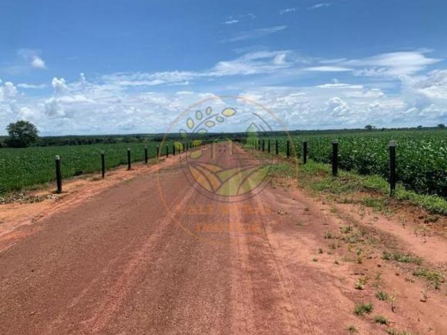 Sítio e chácara venda em Região Geográfica Imediata de Porangatu, São Miguel do Araguaia