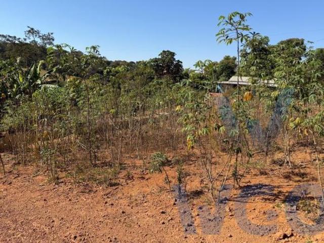 Sítio e chácara venda em Região Geográfica Imediata de Anápolis, Anápolis