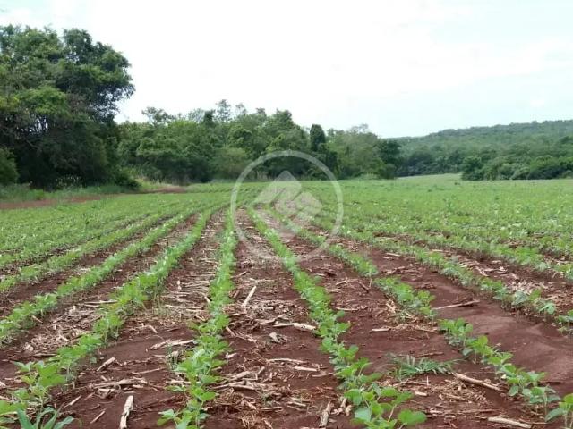Fazenda venda em Sidrolândia
