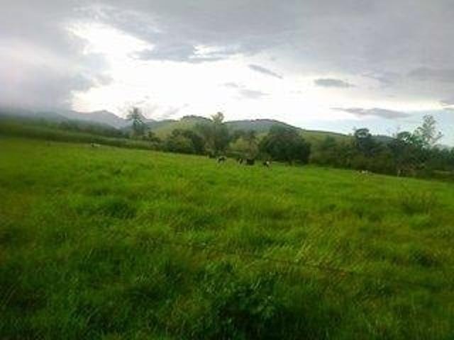 Fazenda venda em Silva Jardim