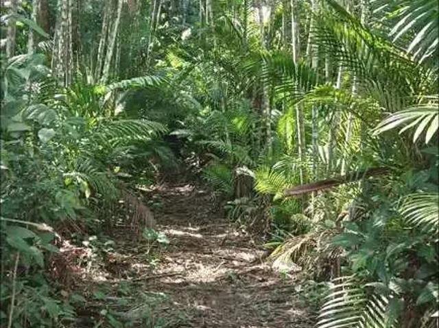 Fazenda venda em Região Geográfica Imediata de Rio Bonito, Silva Jardim