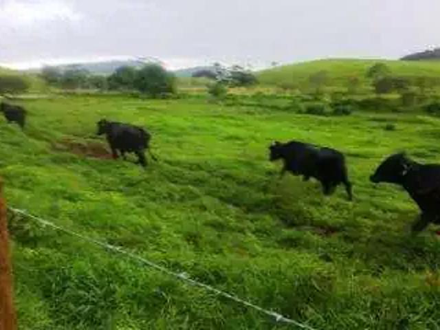 Fazenda venda em Região Geográfica Imediata de Rio Bonito, Silva Jardim