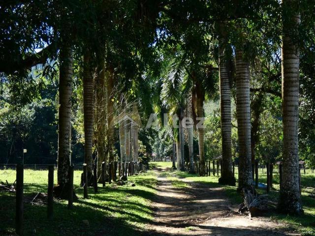 Fazenda venda em Região Geográfica Imediata de Rio Bonito, Silva Jardim