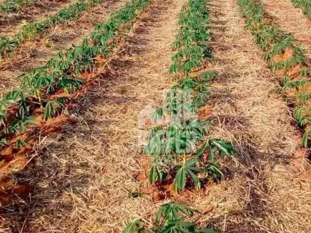 Fazenda venda em Região Geográfica Imediata de Rio Bonito, Silva Jardim