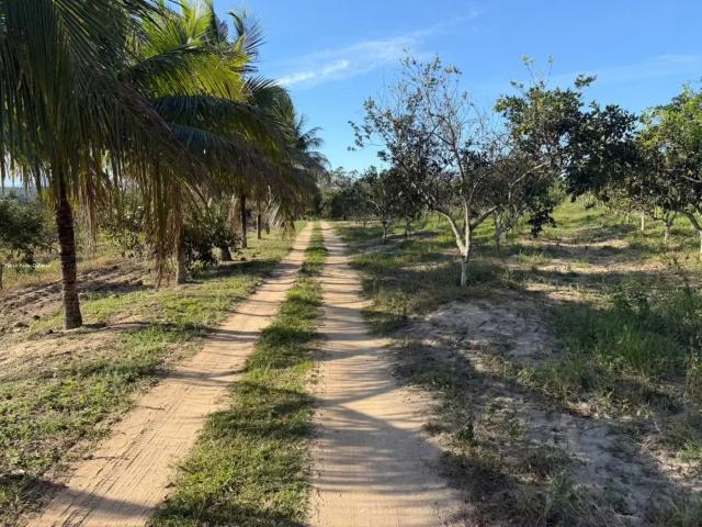 Fazenda venda em Região Geográfica Imediata de Rio Bonito, Silva Jardim