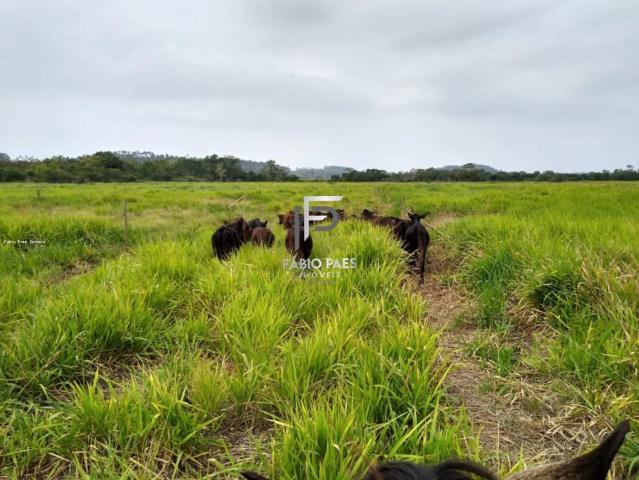 Fazenda venda em Silva Jardim