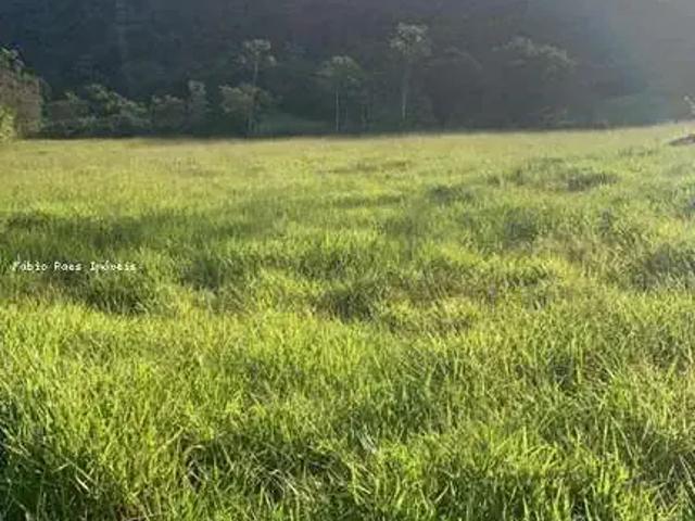 Fazenda venda em Região Geográfica Imediata de Rio Bonito, Silva Jardim