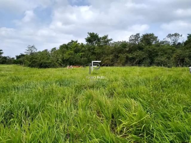 Fazenda venda em Região Geográfica Imediata de Rio Bonito, Silva Jardim