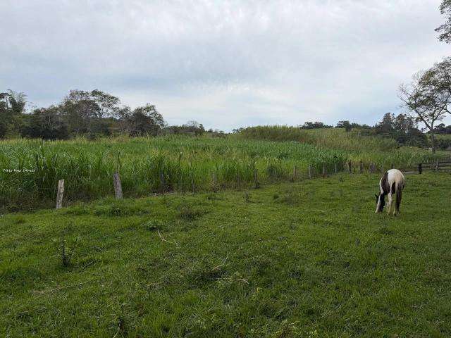 Fazenda venda em Silva Jardim