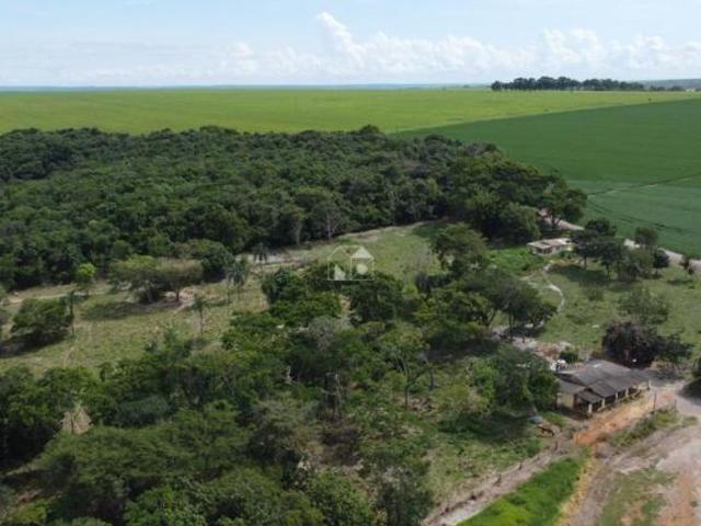 Sítio e chácara venda em Região Geográfica Imediata de Anápolis, Silvânia