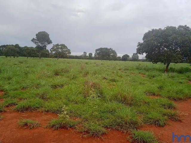 Fazenda venda em Região Geográfica Imediata de Porto Nacional, Silvanópolis