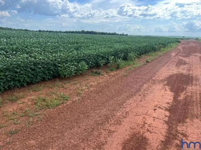 Fazenda venda em Região Geográfica Imediata de Porto Nacional, Silvanópolis