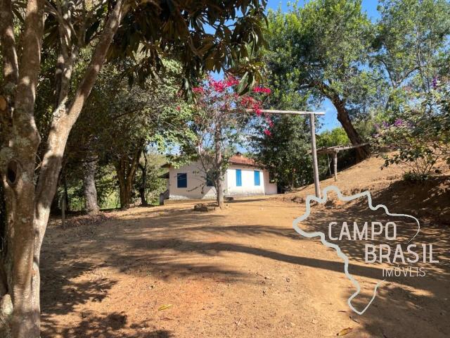Fazenda venda em Silveiras