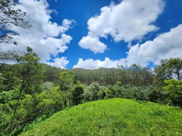 Fazenda venda em Região Imediata de Cruzeiro, Região Metropolitana do Vale do Paraíba e Litoral Norte
