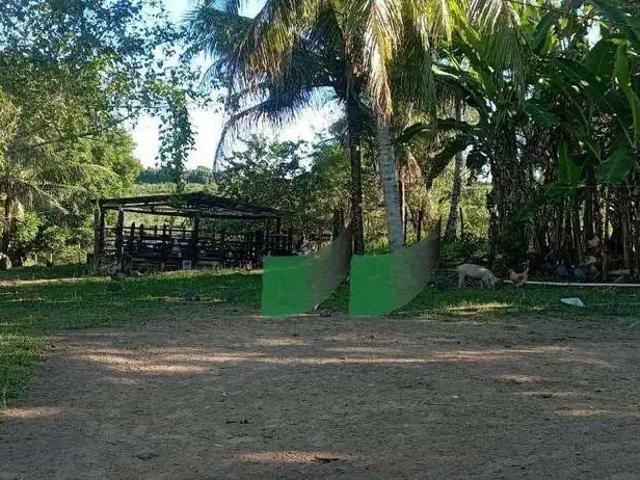 Fazenda venda em Região Geográfica Imediata de Salvador, Região Metropolitana de Salvador