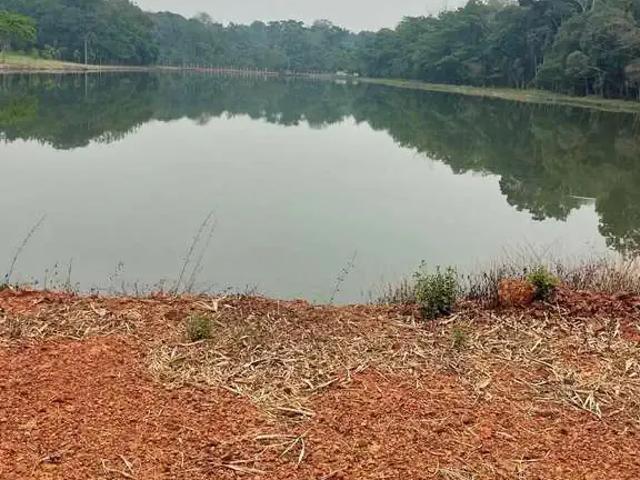 Fazenda venda em Região Geográfica Imediata de Sinop, Sinop