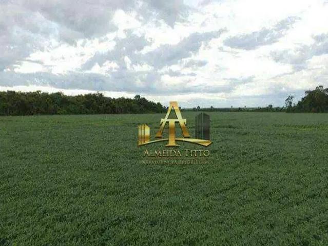 Fazenda venda em Região Geográfica Imediata de Sinop, Sinop