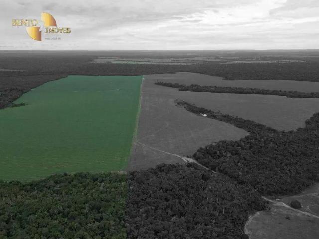 Fazenda venda em Região Geográfica Imediata de Sinop, Sinop