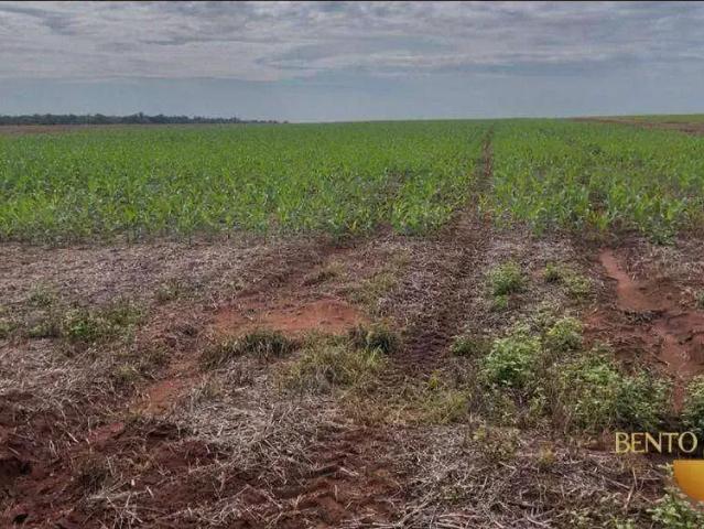 Fazenda venda em Região Geográfica Imediata de Sinop, Sinop