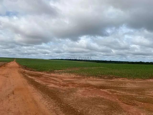 Fazenda venda em Região Geográfica Imediata de Sinop, Sinop