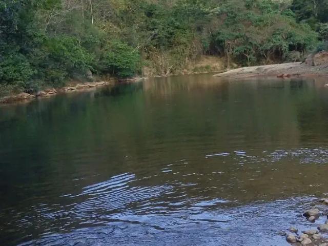 Fazenda venda em Região Geográfica Imediata do Distrito Federal, Região Integrada de Desenvolvimento do Distrito Federal e Entorno
