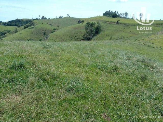 Fazenda venda em Socorro, Centro