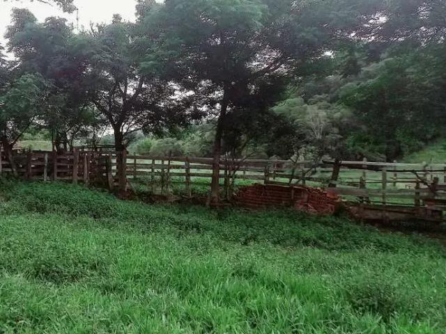 Fazenda venda em Região Geográfica Imediata de São Lourenço, Soledade de Minas