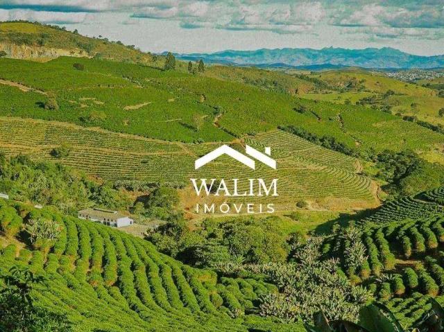 Fazenda venda em Região Geográfica Imediata de São Lourenço, Soledade de Minas