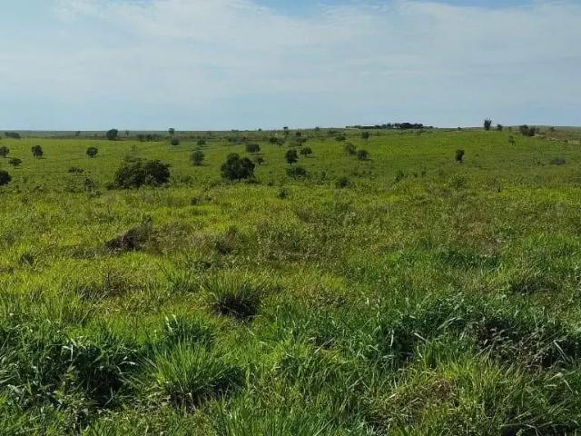 Fazenda venda em Região Geográfica Imediata de Coxim, Sonora