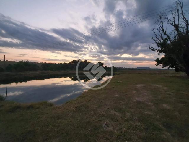 Fazenda venda em Sonora