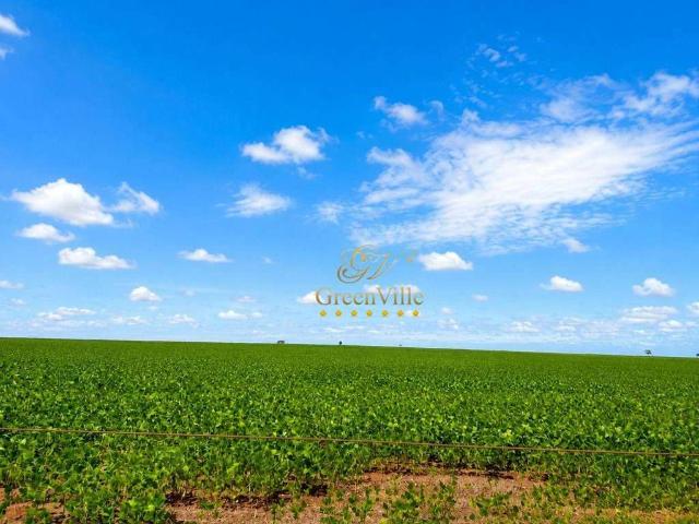 Fazenda venda em Sonora