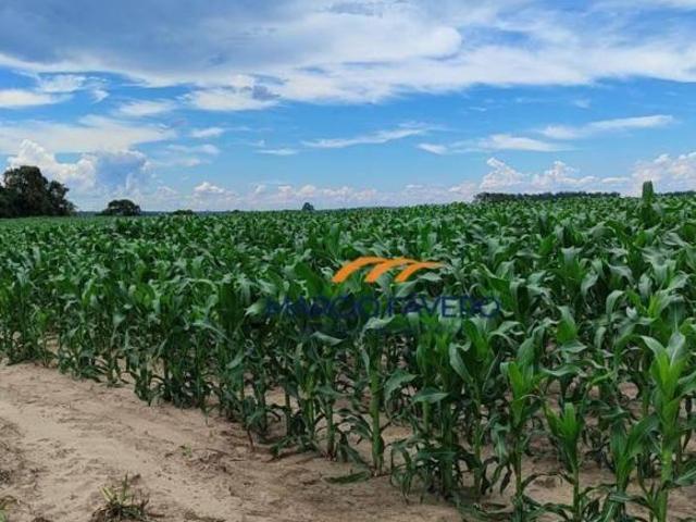Sítio e chácara venda em Região Imediata de Sorocaba, Região Metropolitana de Sorocaba