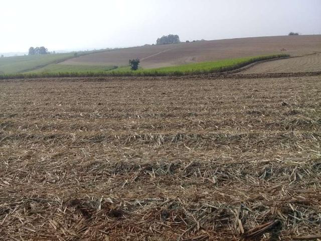 Fazenda venda em Região Imediata de Sorocaba, Região Metropolitana de Sorocaba
